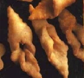 Koloniklejner